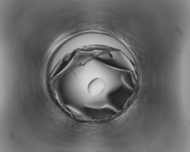 X0000113000199200909101803