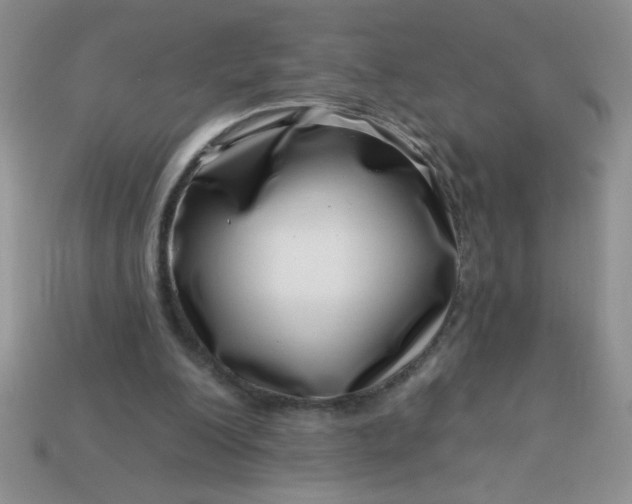 X0000113000200200909101803