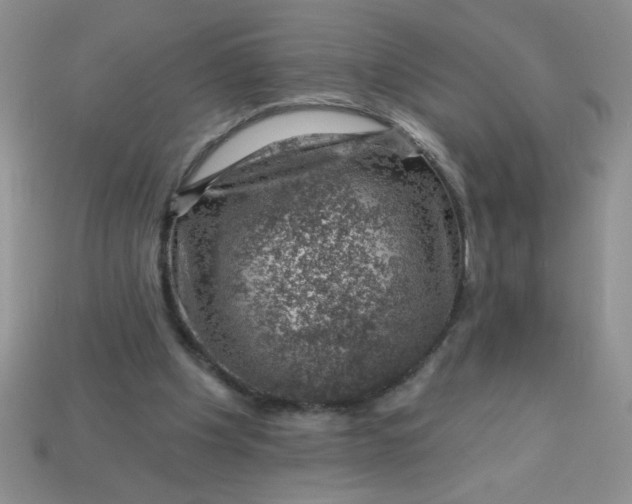 X0000113000201200909101803