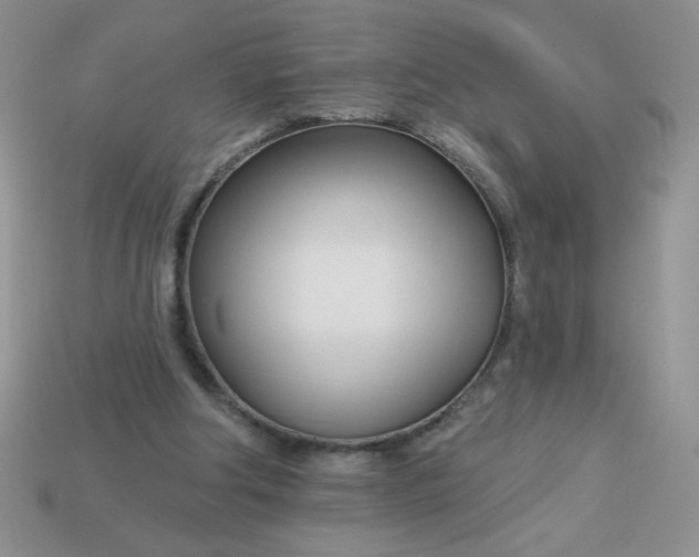 X0000113000202200909101803