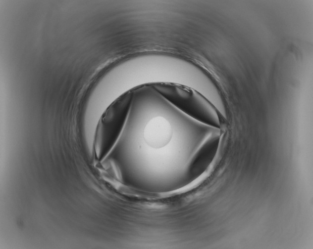 X0000113000203200909101803