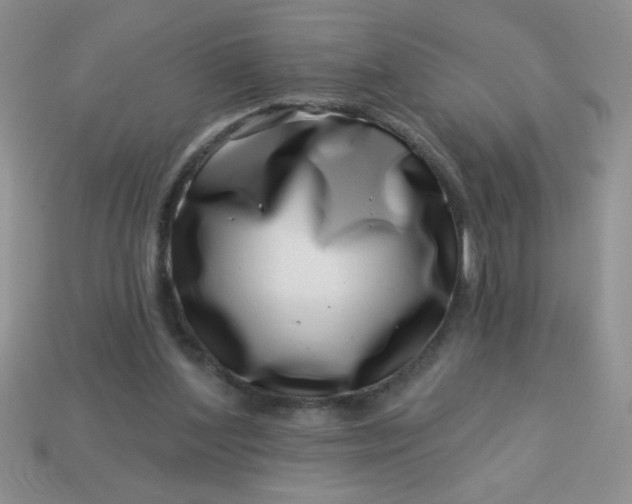 X0000113000204200909101803