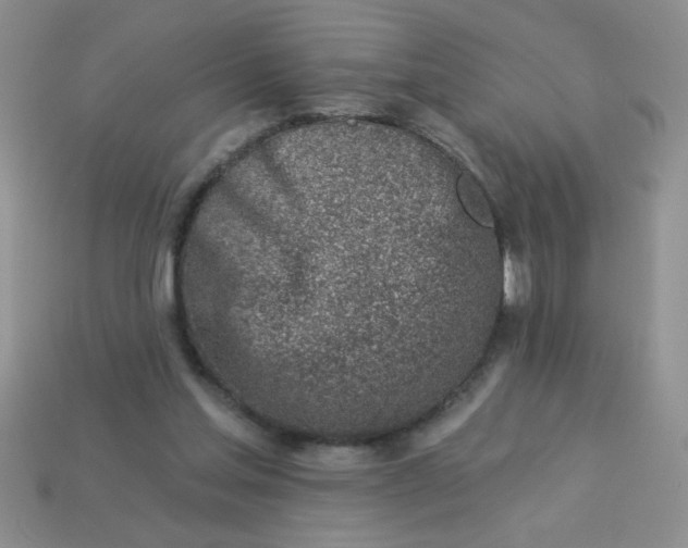 X0000113000205200909101803