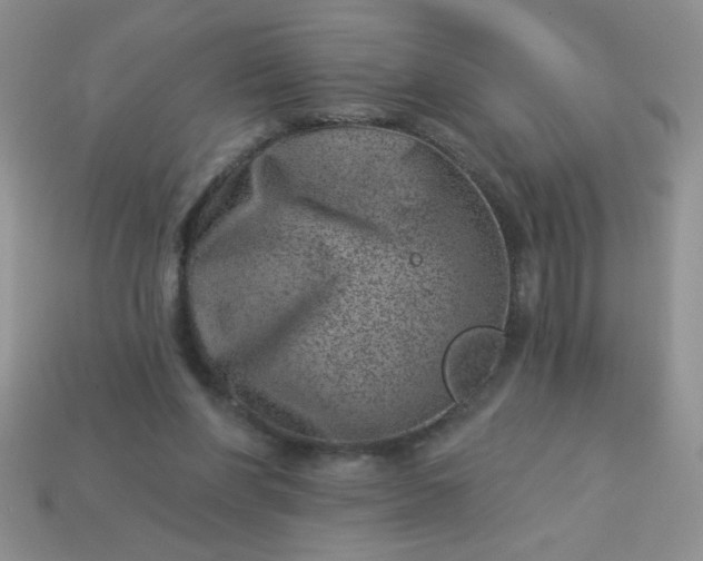 X0000113000206200909101803