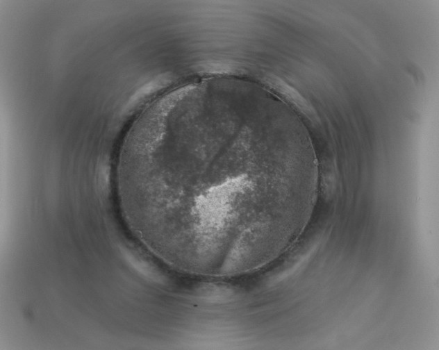 X0000113000207200909101803