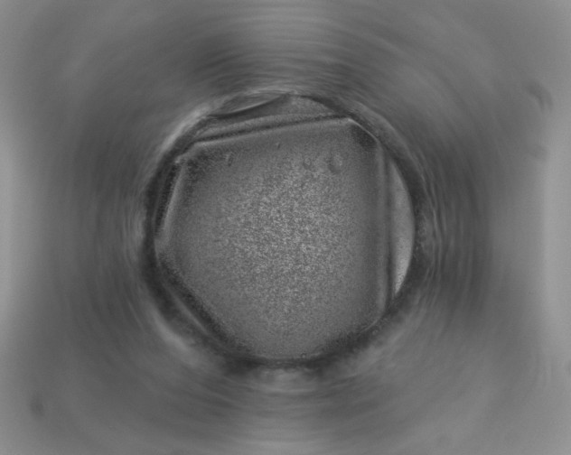 X0000113000208200909101803