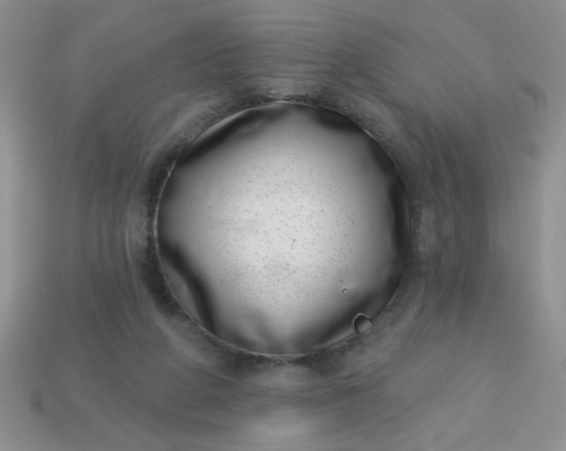 X0000113000210200909101803