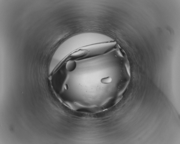 X0000113000211200909101803