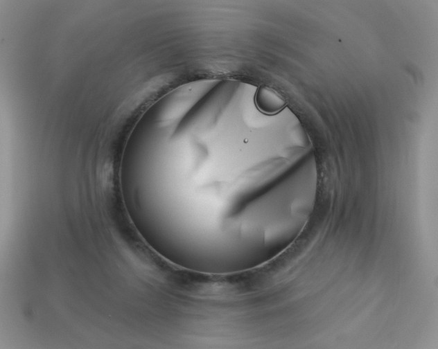 X0000113000212200909101803