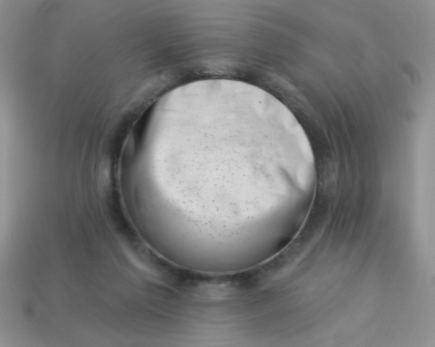 X0000113000213200909101803