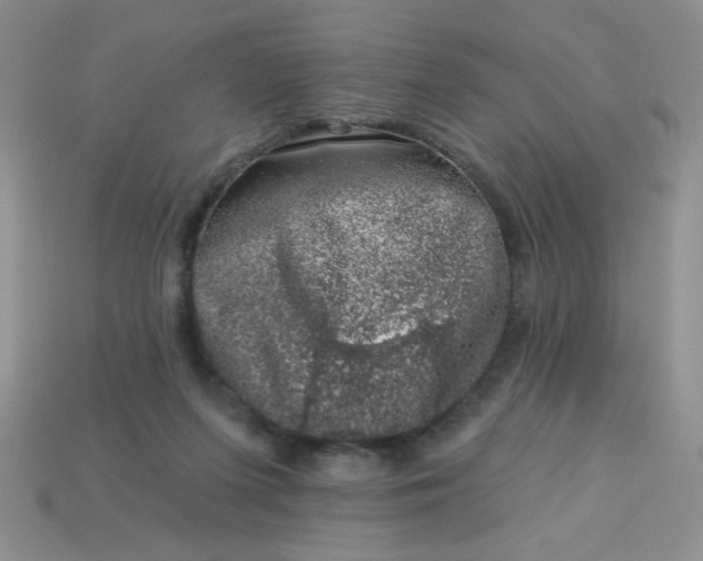 X0000113000215200909101803