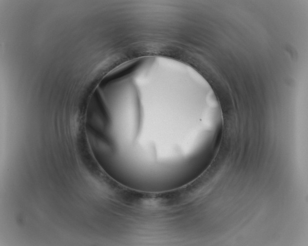 X0000113000216200909101803