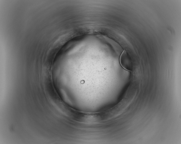 X0000113000218200909101803