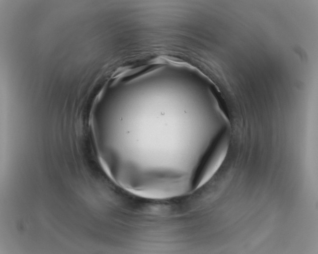 X0000113000220200909101803