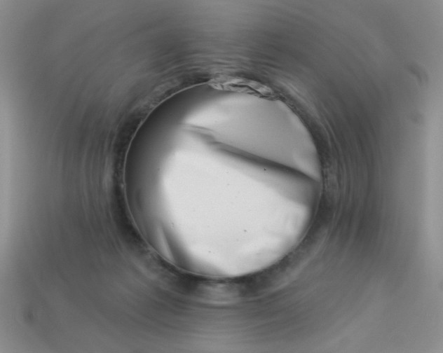 X0000113000221200909101803