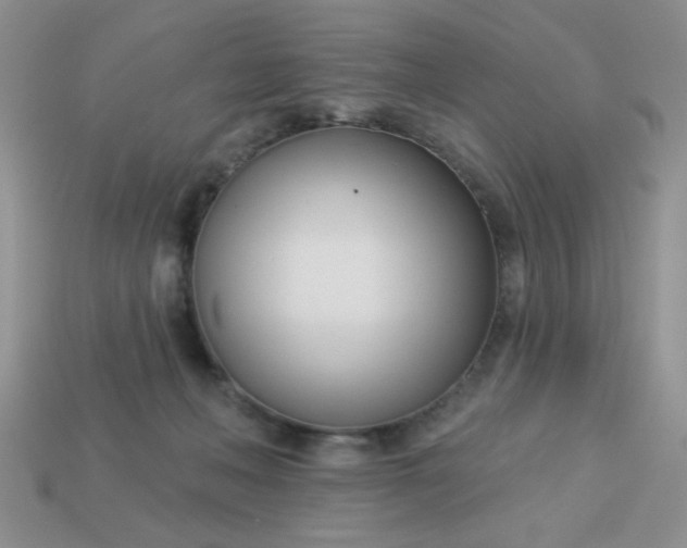 X0000113000222200909101803