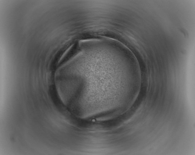 X0000113000224200909101803