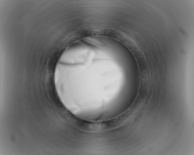 X0000113000225200909101803