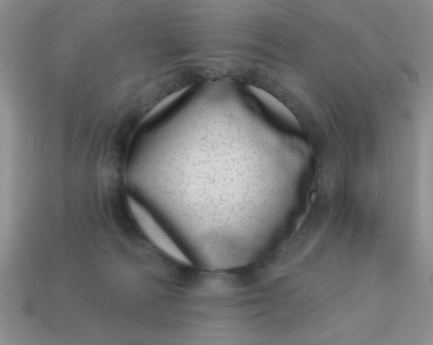 X0000113000226200909101803