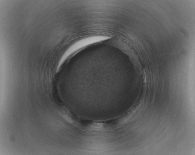 X0000113000227200909101803