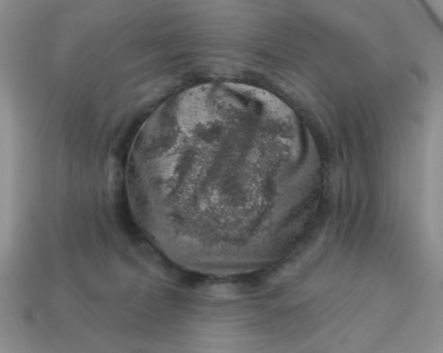 X0000113000228200909101803