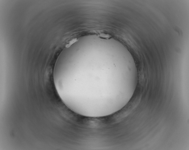 X0000113000229200909101803