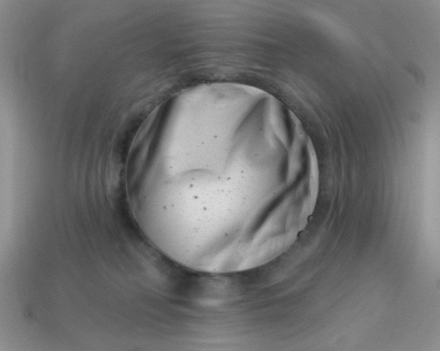 X0000113000230200909101803