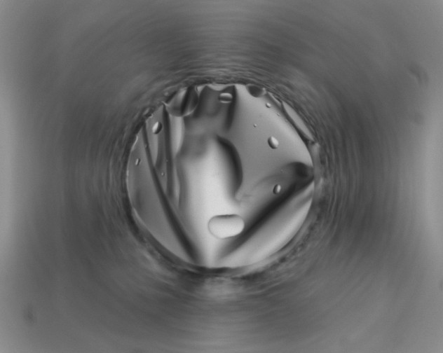 X0000113000231200909101803