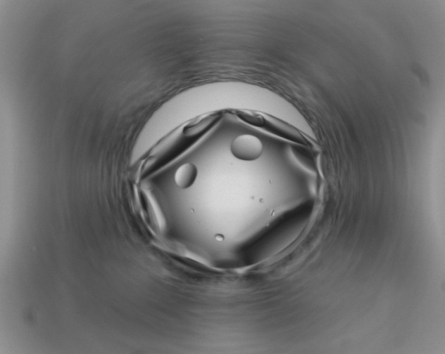 X0000113000235200909101803