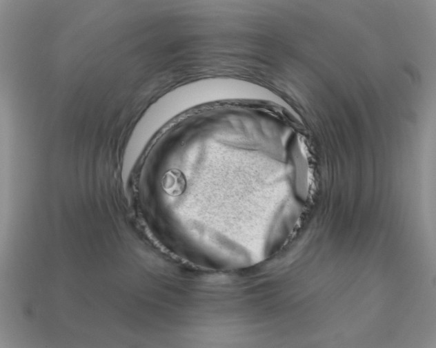 X0000113000237200909101803