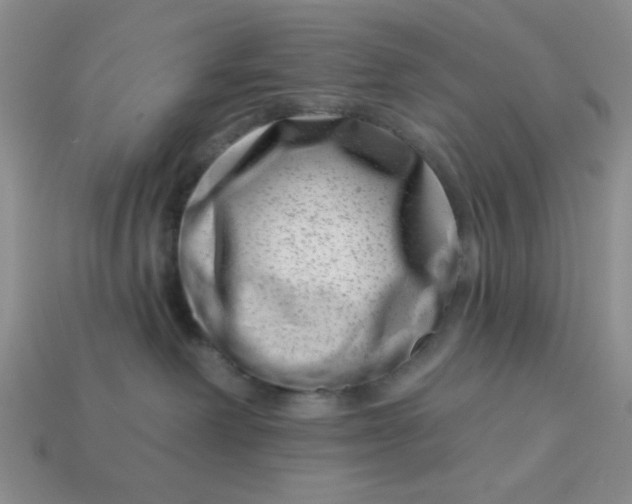 X0000113000238200909101803