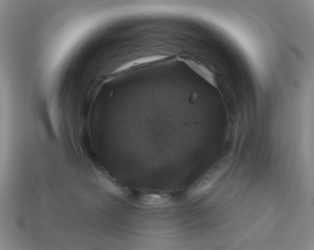 X0000113000239200909101803