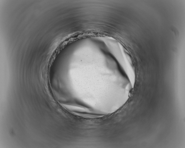 X0000113000241200909101802