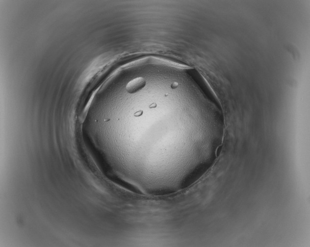 X0000113000242200909101802