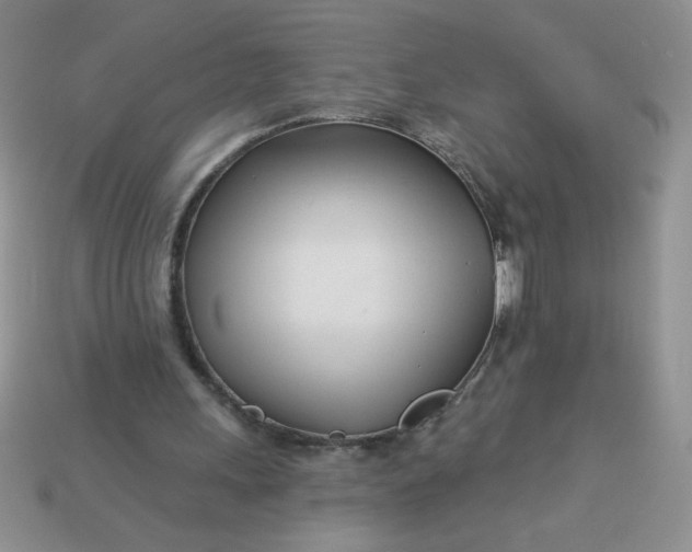 X0000113000243200909101802