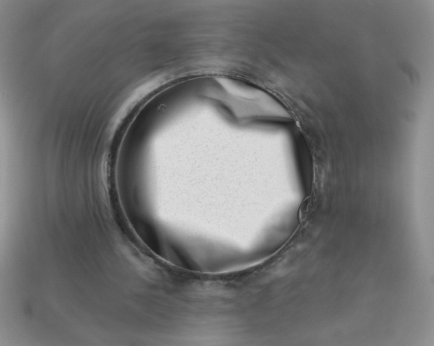 X0000113000244200909101802