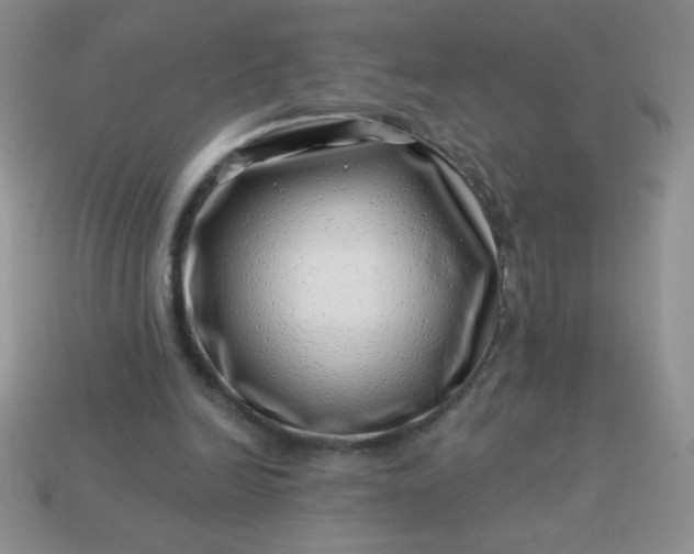 X0000113000246200909101802