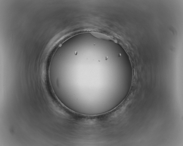 X0000113000247200909101802