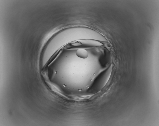 X0000113000248200909101802