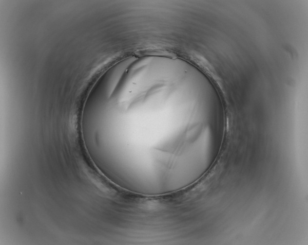 X0000113000249200909101802