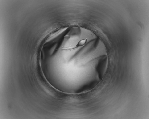 X0000113000250200909101802