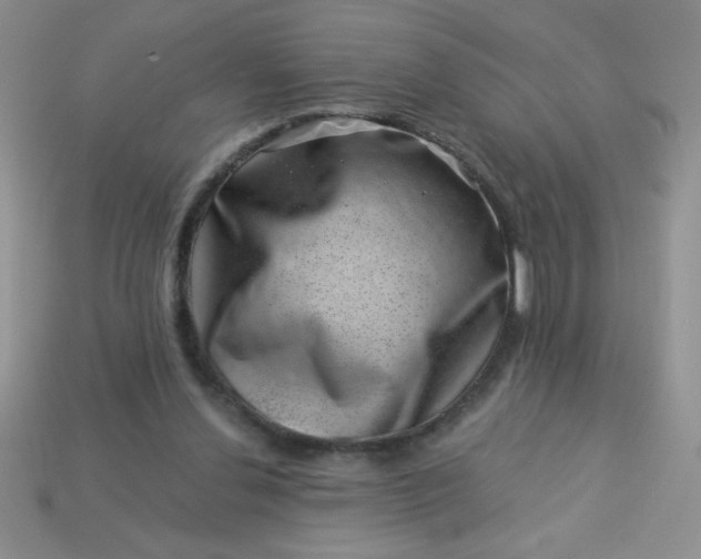 X0000113000252200909101802