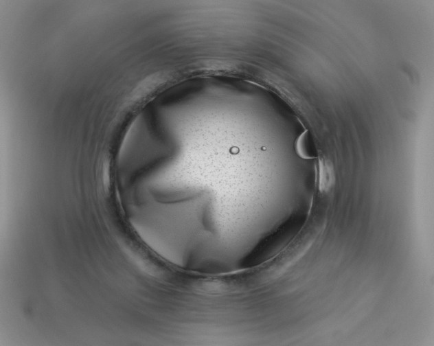 X0000113000253200909101802