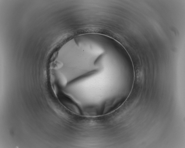 X0000113000254200909101802