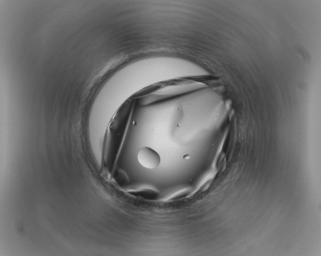 X0000113000256200909101802