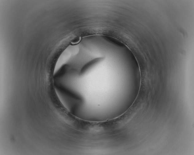 X0000113000258200909101802