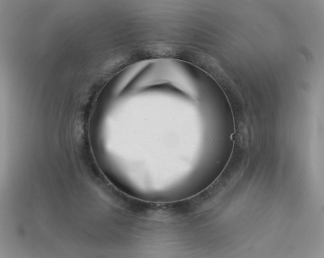 X0000113000259200909101802