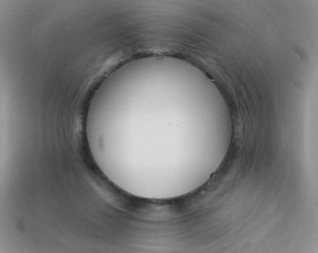 X0000113000260200909101802