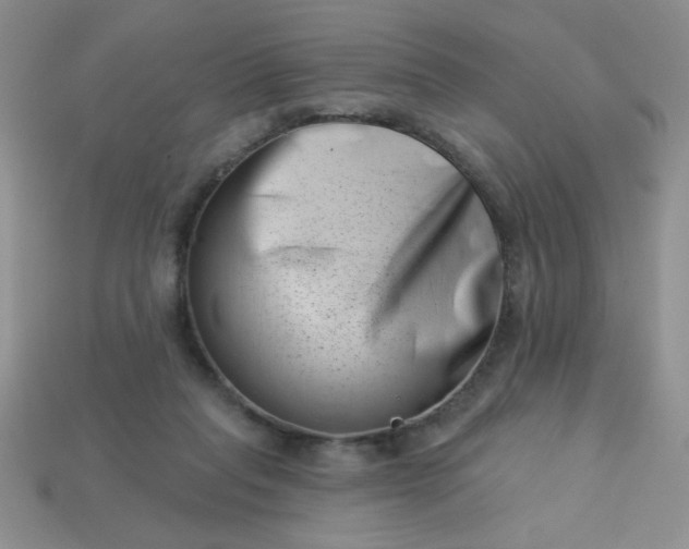 X0000113000261200909101803