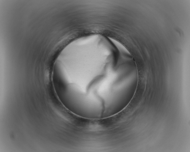 X0000113000262200909101803